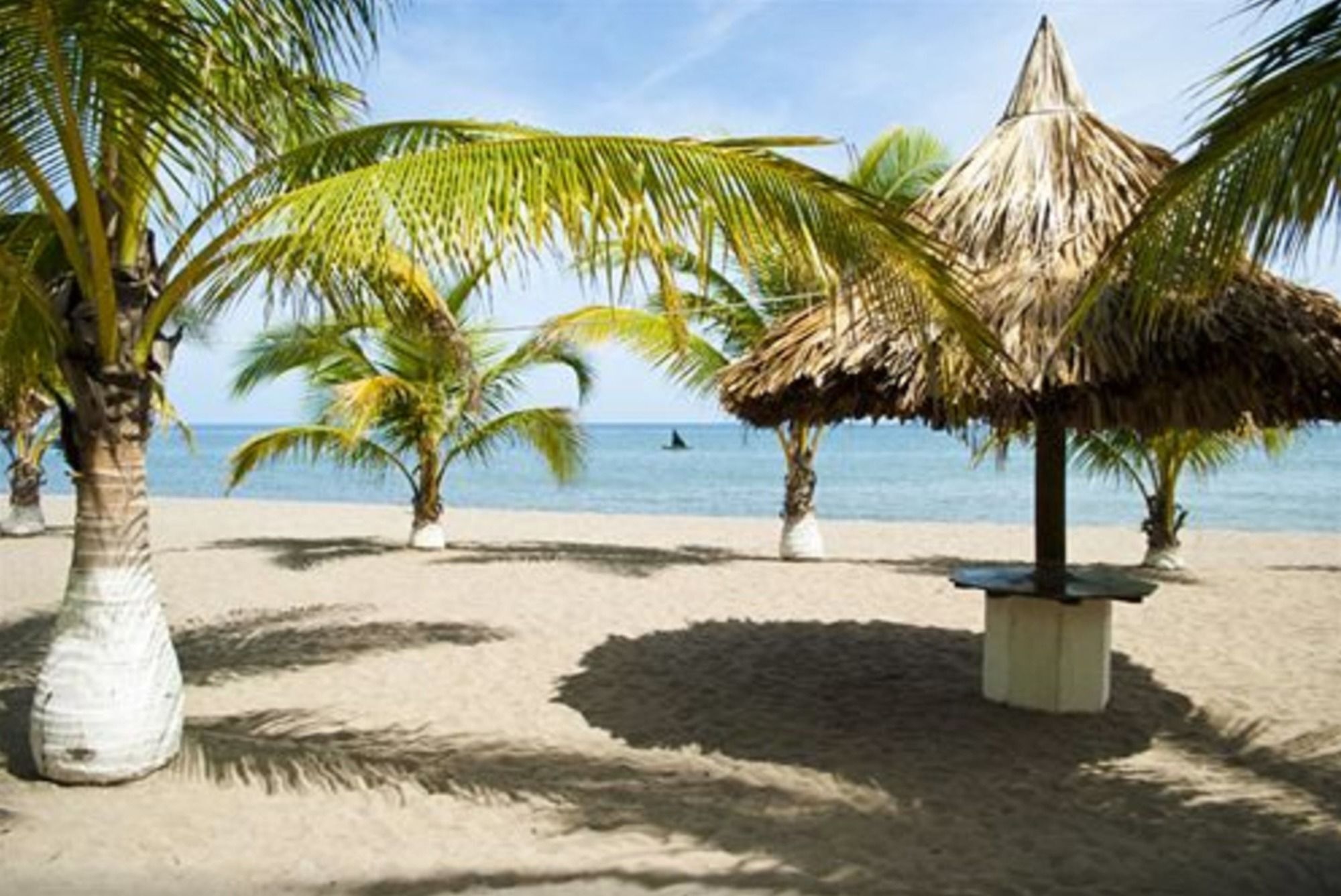Hotel Quinta Real La Ceiba Extérieur photo
